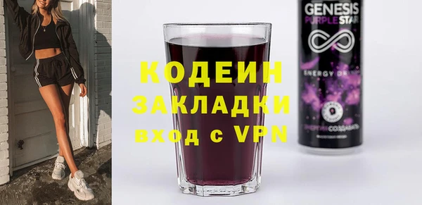 мет Алексин