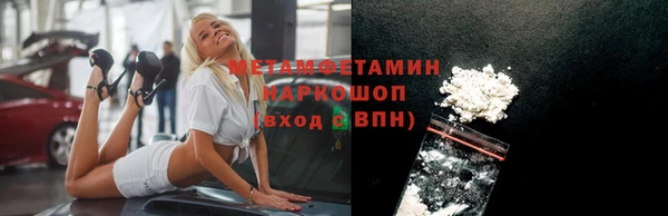 мет Алексин