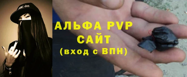 крисы Покачи